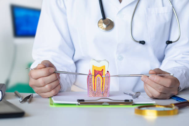 Best Urgent Dental Care for Toothaches in Sunrise Beach Village, TX